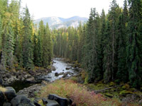 Der Canim-River-Trail