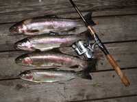 Das Abendessen ist gesichert :-)