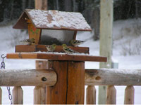 Das Vogelh&auml;uschen