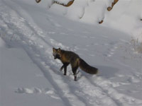 Und dann tsch&uuml;ss bis zum n&auml;chsten Mal